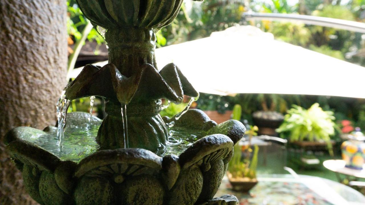El Jardin Del Eden B&B Boutique كويرنافاكا المظهر الخارجي الصورة