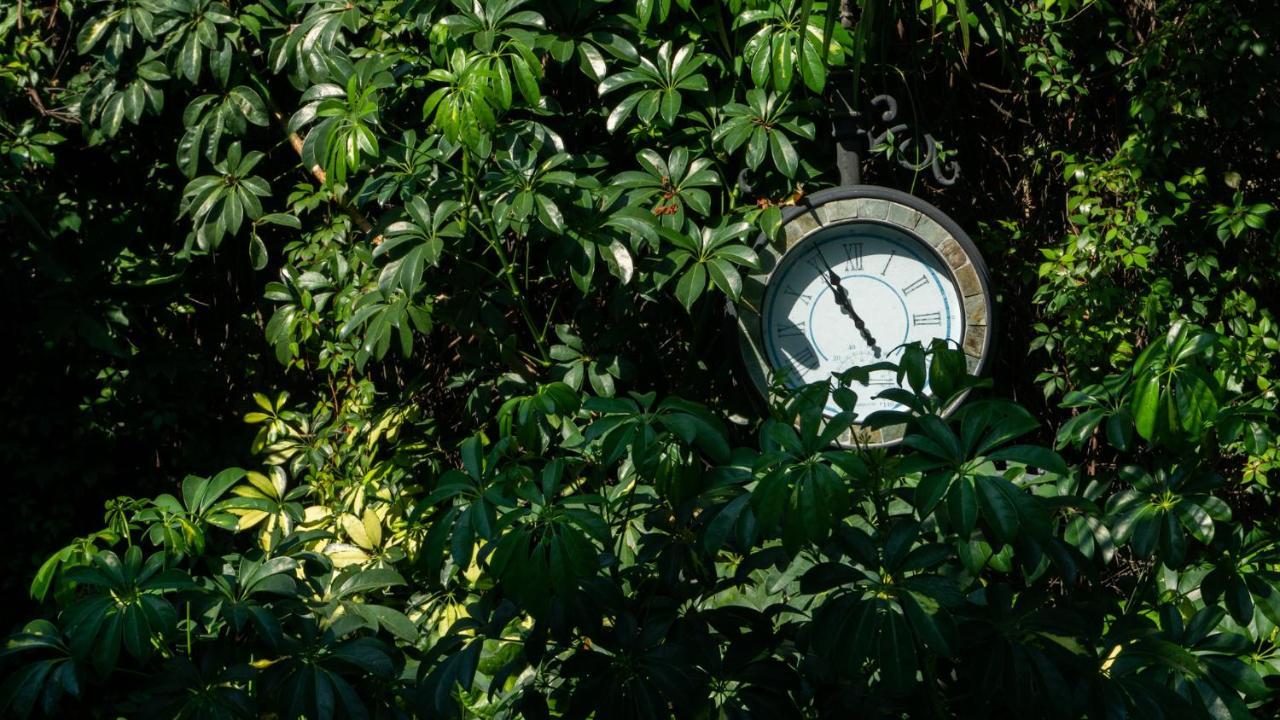 El Jardin Del Eden B&B Boutique كويرنافاكا المظهر الخارجي الصورة
