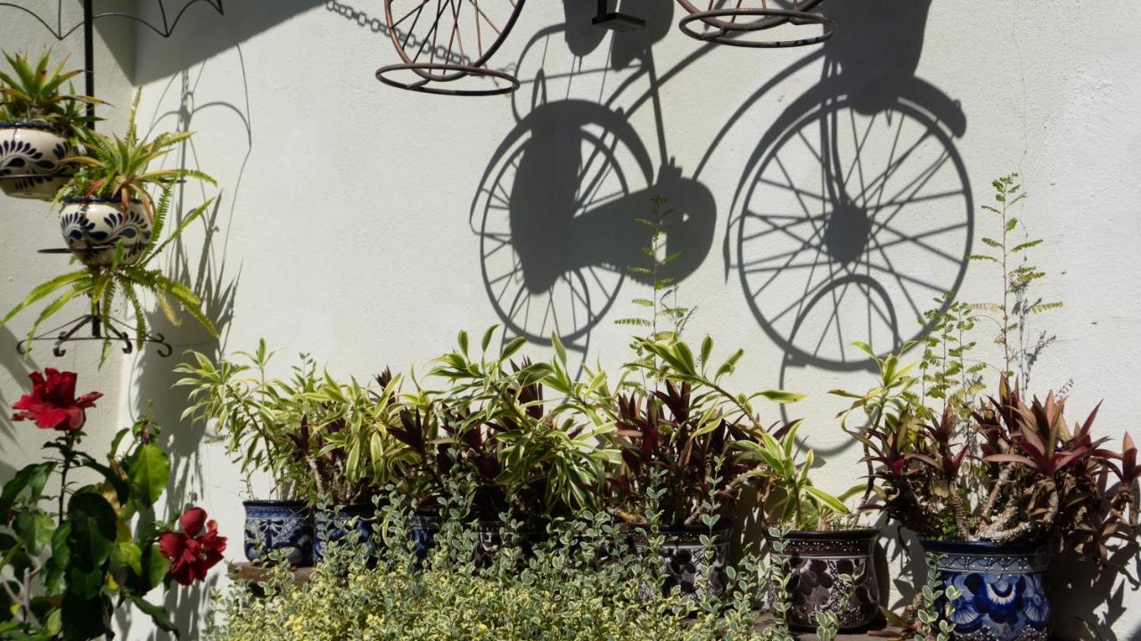 El Jardin Del Eden B&B Boutique كويرنافاكا المظهر الخارجي الصورة