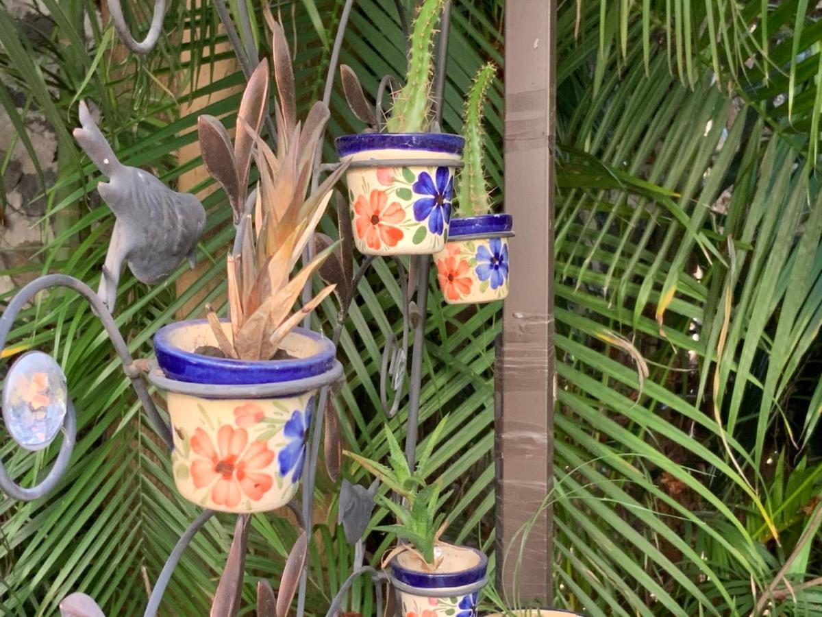 El Jardin Del Eden B&B Boutique كويرنافاكا المظهر الخارجي الصورة